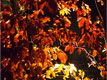 Licht und Schatten